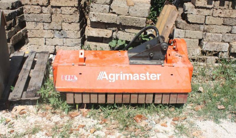Braccio trinciante usato Ferri ST50 con Trincia Agrimaster UT125 pieno