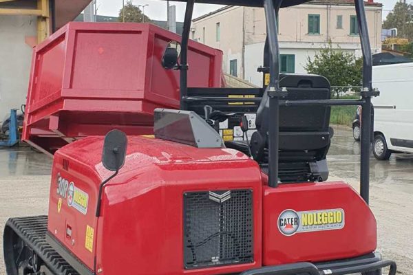 Noleggio Dumper Cingolato Yanmar C30R-3 TV 6 dumper-yanmar-C30-R-01